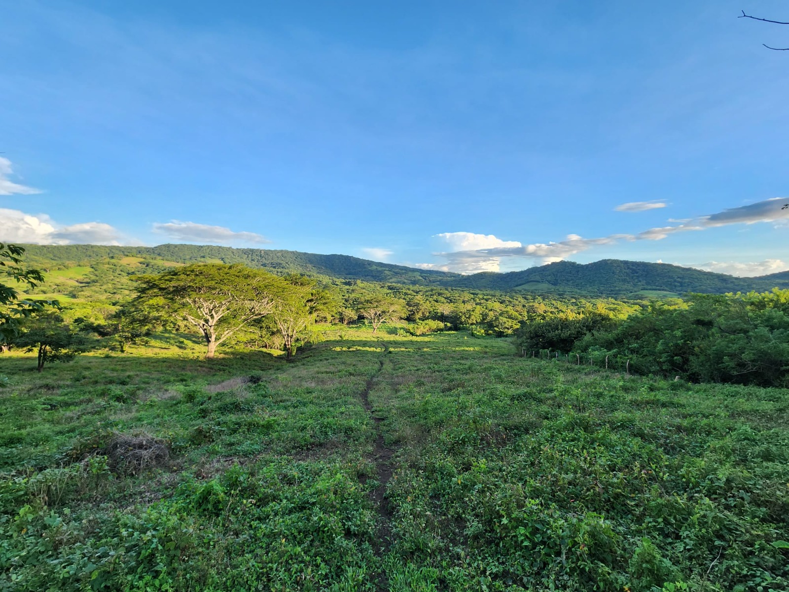 BVN Real Estate San Juan del Sur